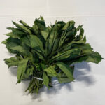 Fresh Ugu (Pumpkin Leaves) Bunch